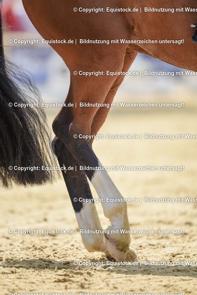 20250607_1_GP-Tour_Dressage_0176 | Foto: Thomas Hartig