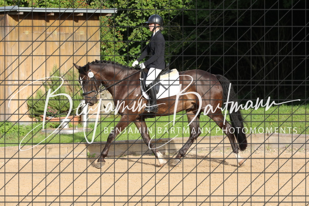 AZ2A1585 | Benjamin Bartmann Photomoments