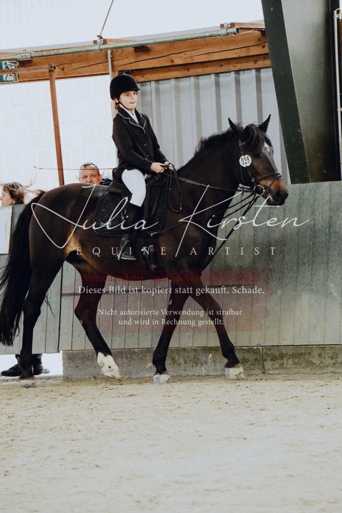 DSC_7216 | Pferde- und Turnierfotografie in Westsachsen. Pferdeportraits, Auftragszeichnungen und intuitive Kunst.