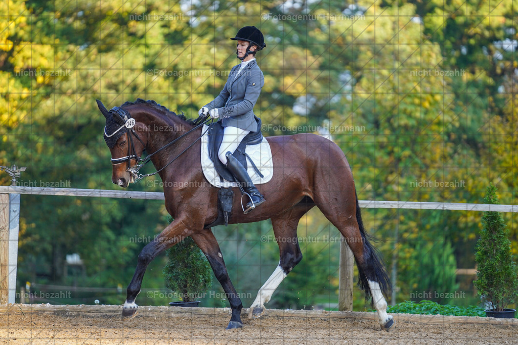 20221007-FAH00392 | Diessen am Ammersee, 2022, Dressur- und Springturnier, Reitsportbilder, Turnierfotografen Bayern, Pferdefotografen, Fotoagentur Herrmann, Turnierbilder
