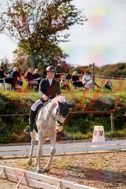 2026_10_03_Siefer-Hof_122646_Z63_47366992 | Professionelle Reitsport-, Turnier- und Eventfotografie von Robert Broda. Galerien mit ausgewählten und bearbeiteten Bildern direkt online ansehen und bestellen.