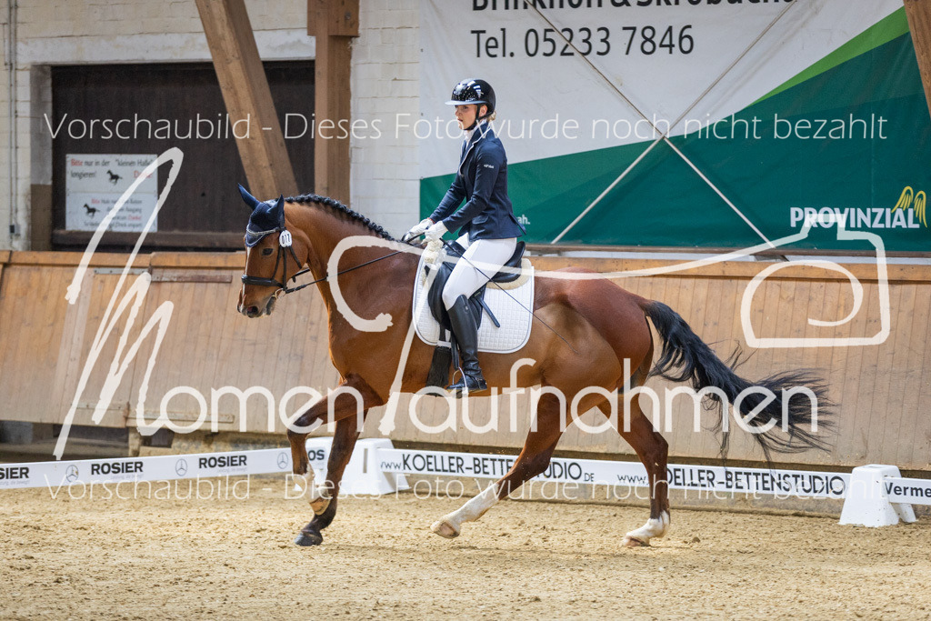 Sth-LPO25-A-Dr-060 | MomenTaufnahmen Pferdesportfotos