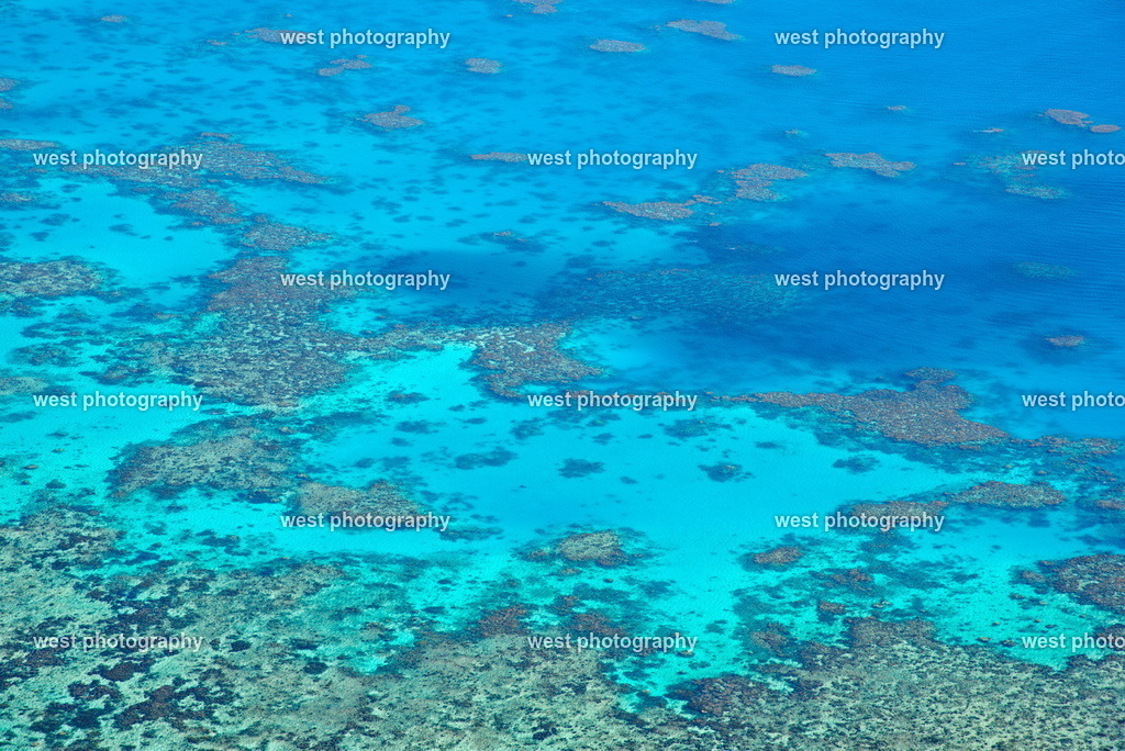 Great Barrier Reef 1 - AUS 2016 | west photography - Realisiert mit Pictrs.com