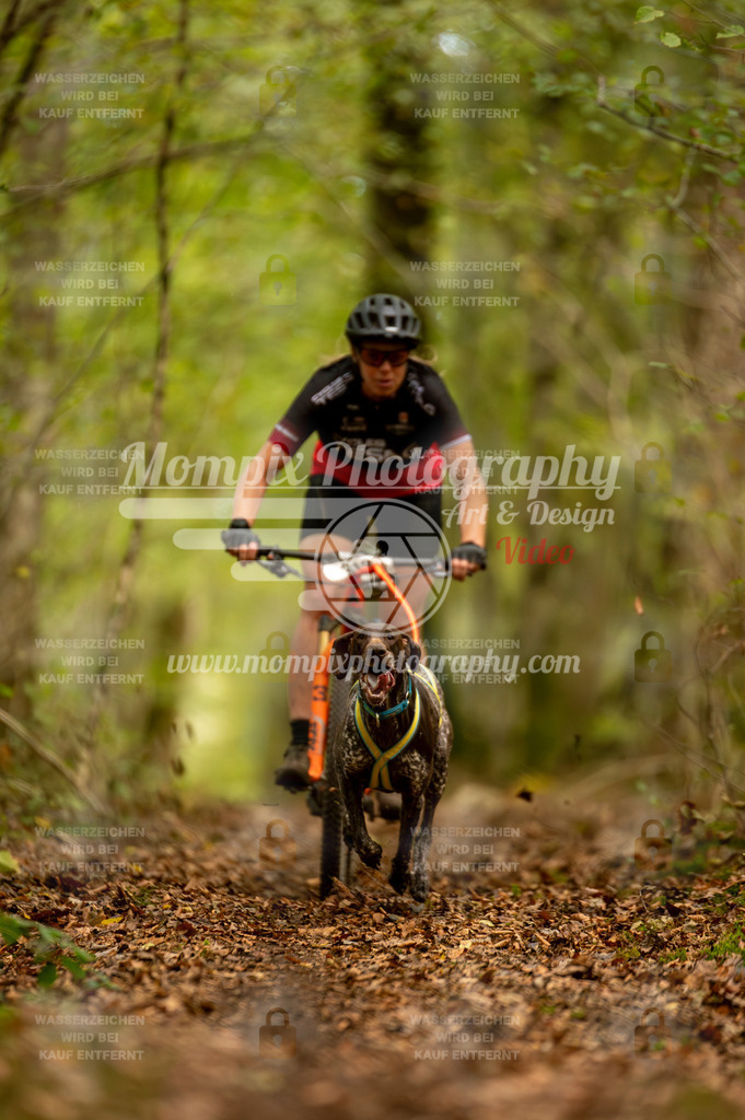 TSB_2023_E1_Bike-64 | PayLife