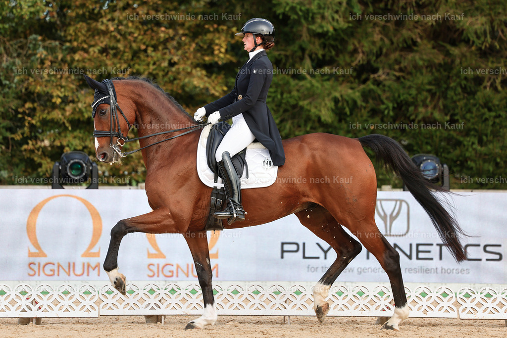 13-048-S___ -StoibPH-6968 | working equitationturnier fotograf videograf stoibphotography marixx film working equitation deutschland reitsport turnierfotografie eventfotografie equestrian events