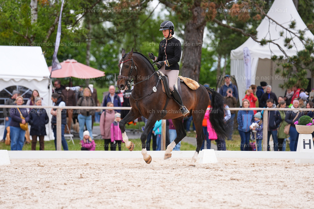 PI26_DR_261_StoibphotographySIN09216.jpg | working equitationturnier fotograf videograf stoibphotography marixx film working equitation deutschland reitsport turnierfotografie eventfotografie equestrian events