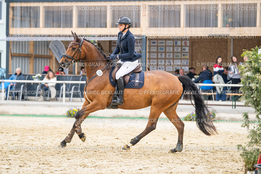 DSC00875 | Pferdegrafie