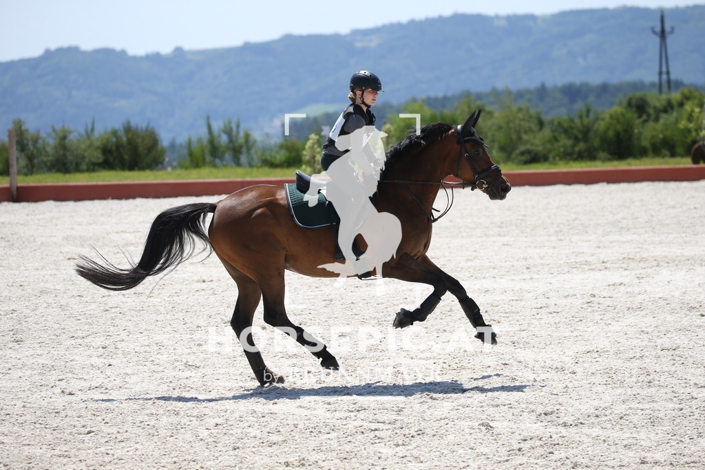 DL2Q1192 | Willkommen bei Brunnmayr - Design & Fotografie – Ihrem Spezialisten für Reitturniere und Pferdeveranstaltungen in Oberösterreich, Salzburg und Bayern! Seit über 17 Jahren sind wir leidenschaftlich dabei.