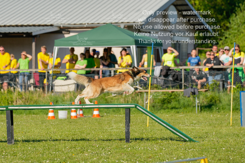 Sa_CSC-582 | stephaniefillaphotographie - Realisiert mit Pictrs.com