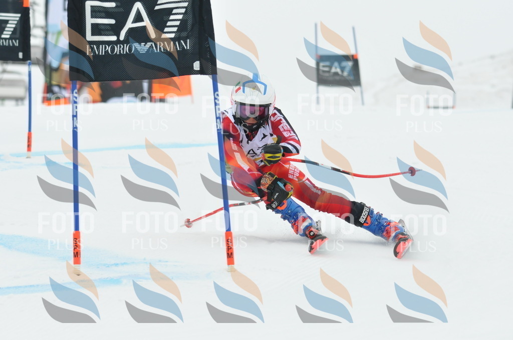 DSC_8531 | holidayphoto