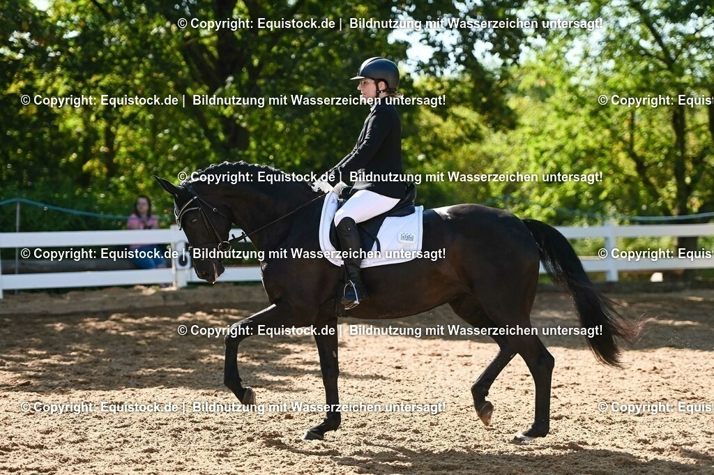 20230715_06_Dressurpferdeprfg. Kl.A_0341 | equistock
