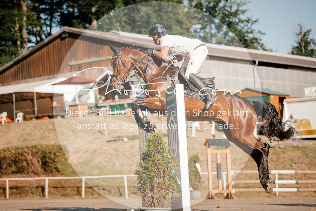 3I6A6050 | Stimmungsvolle Portraits und Reitsportfotografie im Ruhrgebiet und im Münsterland.

Pferdefotografie, Hundefotografie, Tierfotografie, Reportagen, Portraits von Tier und Mensch, Turnierfotografie in Bochum, Recklinghausen, Marl, Haltern am See, Dülmen.. - Realisiert mit Pictrs.com