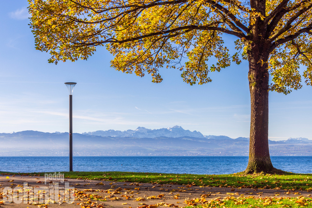 PS-Langenargen-2026-21 | Entdecke die größte Bildgalerie der Region mit Fotografien aus dem Allgäu, der Bodenseeregion, Oberschwaben, dem Donautal und der Schwäbischen Alb. Landschaften, Luftaufnahmen und Reisefotografie als Wandbild und Fotokunst. - Realisiert mit Pictrs.com