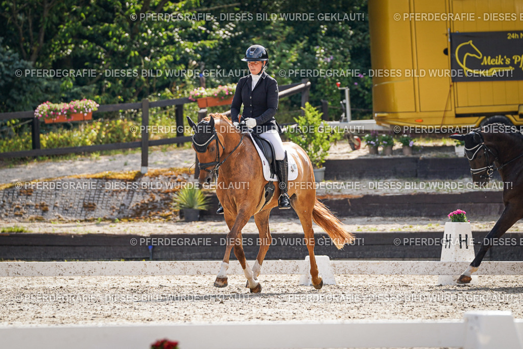 DSC06923 | Pferdegrafie