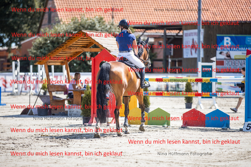 BK1A6585 | Turnierbilder Turnierfotos Nina Hüffmann Turnierfotografie Pferdefotografie Tierzeichnung Haustierzeichnung Pferdezeichnung Hundezeichnung Videograf  - Realisiert mit Pictrs.com