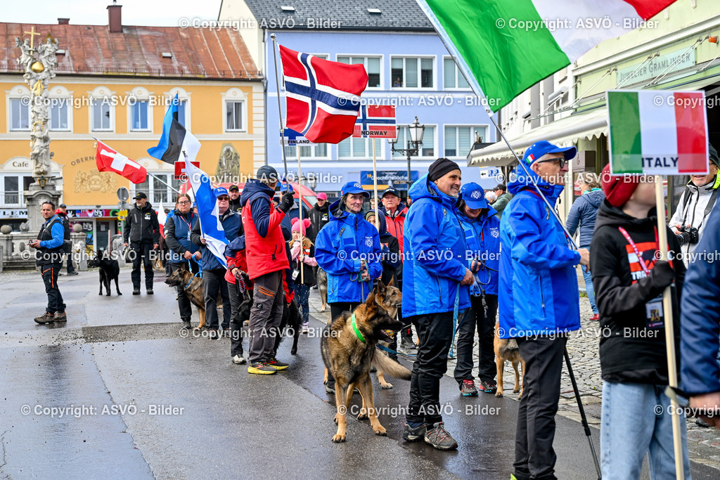 ASVÖ_ Tracking Dog World Championship 2025_ 31.03.2025-219 | 31.03.2025, AUT, ASVÖ, Tracking Dog World Championship // FCI IGP Fährtenhundeweltmeisterschaft 2025©fodo.media / Harald Dostal - Realisiert mit Pictrs.com