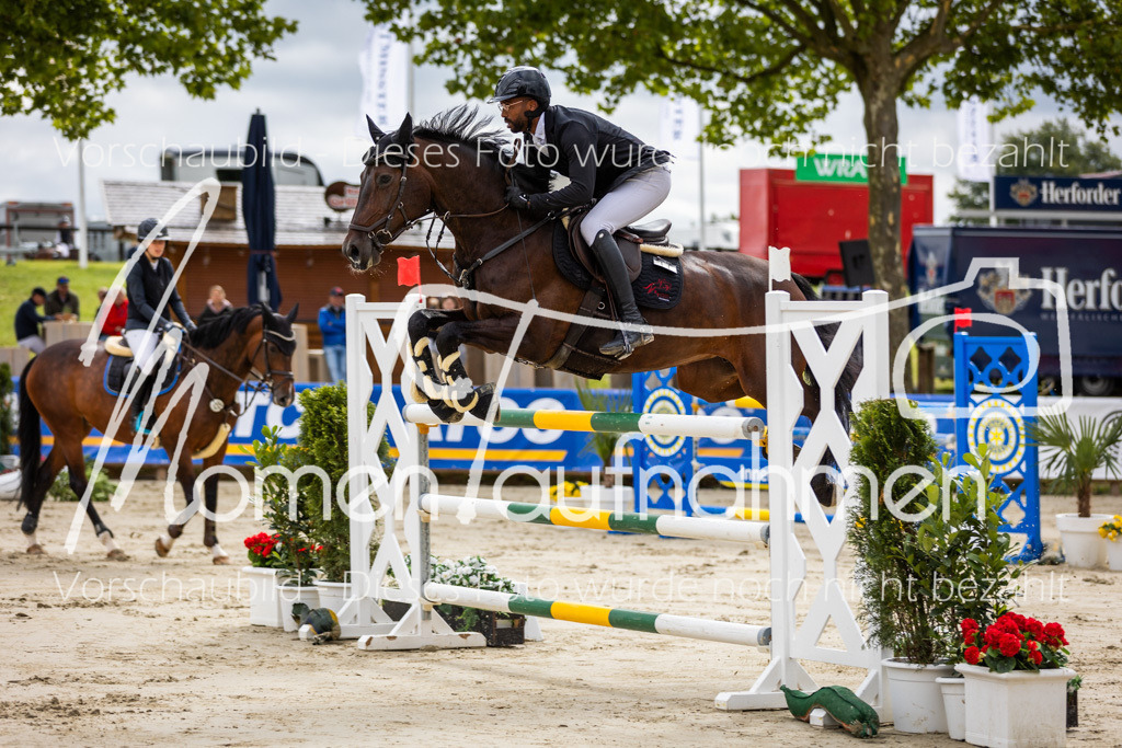 BHO-2PhSpr-M-5-2238 | MomenTaufnahmen Pferdesportfotos