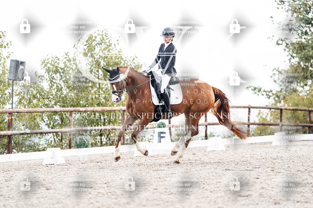 CK900702 | Turnierfotografie Pferdefotografie Trier Rheinland-Pfalz Pferdesport Reitsport Tierfotografie Sportfotografie Pferdevideo Pferdevideografie Equestrianvideography equestrianphotography  - Realisiert mit Pictrs.com