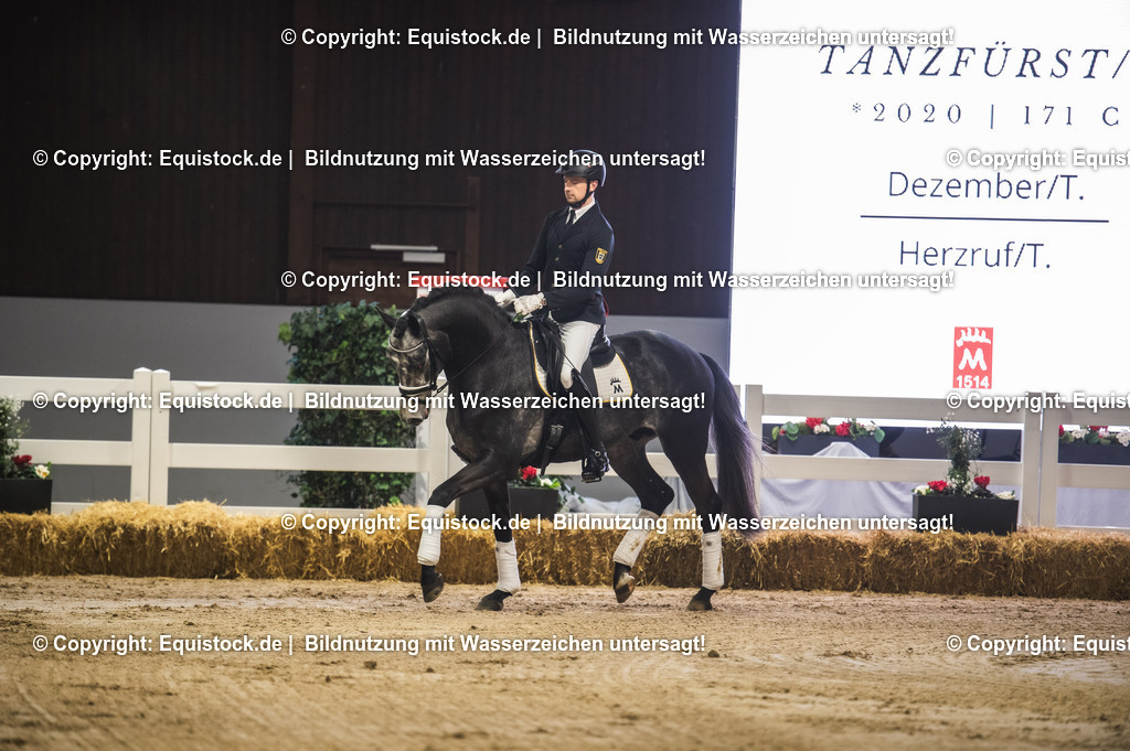 20240302_Hengstvorstellung_Marbach_TOMsPiC_0158 | equistock