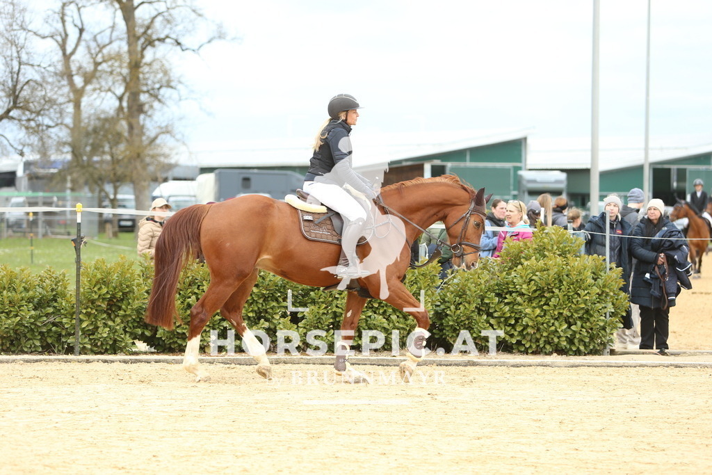 DL2Q2124 | Willkommen bei Brunnmayr - Design & Fotografie – Ihrem Spezialisten für Reitturniere und Pferdeveranstaltungen in Oberösterreich, Salzburg und Bayern! Seit über 17 Jahren sind wir leidenschaftlich dabei.
