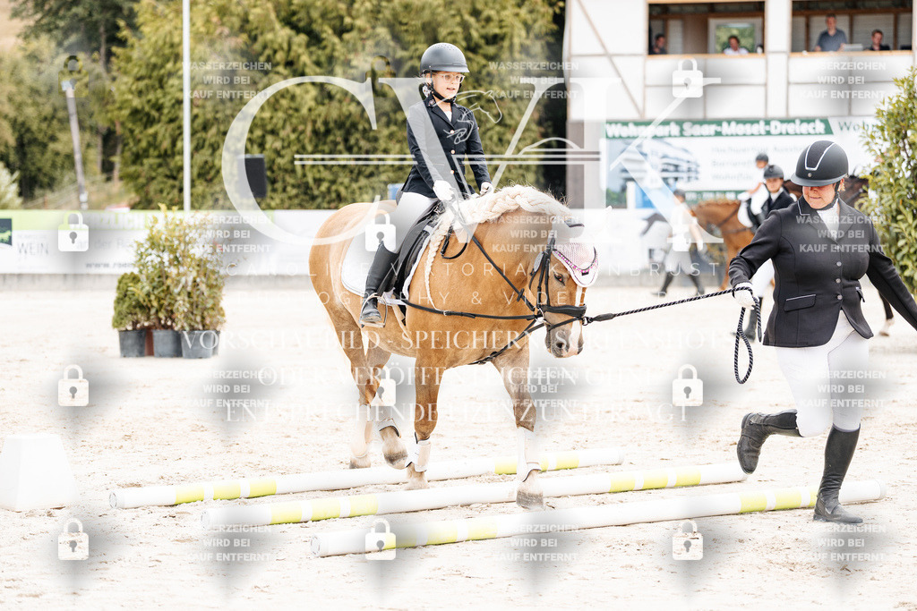 CK907183 | Turnierfotografie Pferdefotografie Trier Rheinland-Pfalz Pferdesport Reitsport Tierfotografie Sportfotografie Pferdevideo Pferdevideografie Equestrianvideography equestrianphotography  - Realisiert mit Pictrs.com