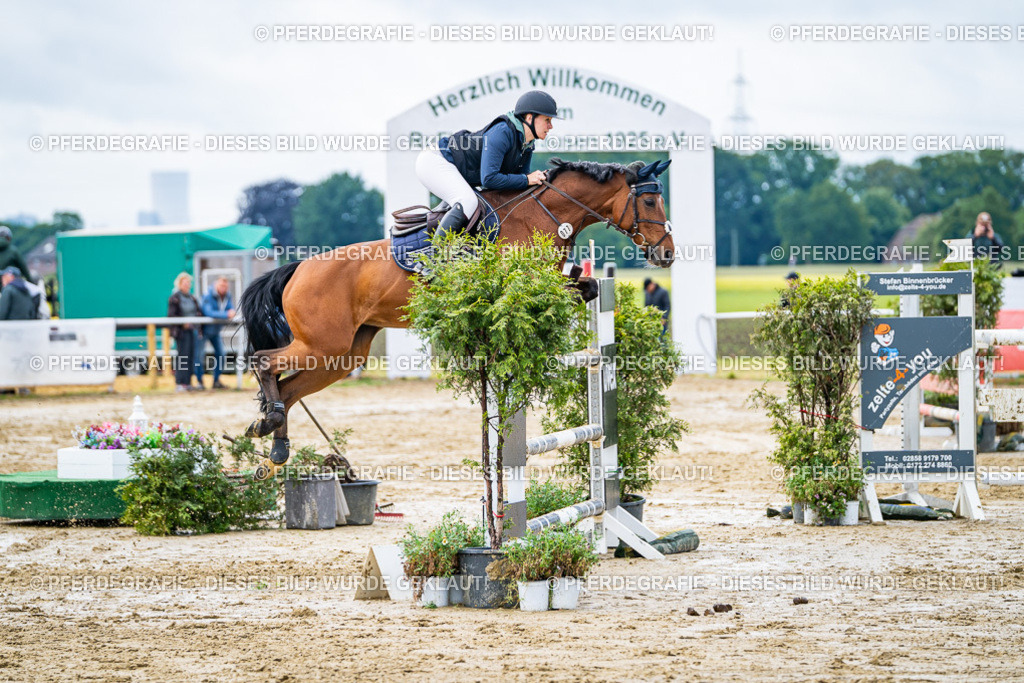 DSC03957 | Pferdegrafie