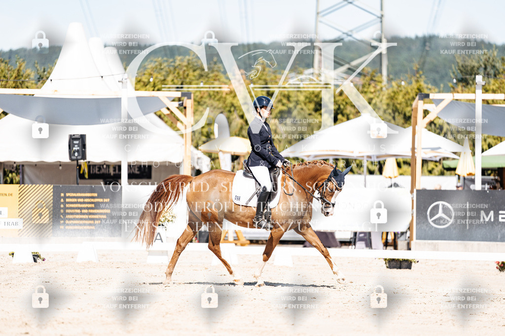 CK909232 | Turnierfotografie Pferdefotografie Trier Rheinland-Pfalz Pferdesport Reitsport Tierfotografie Sportfotografie Pferdevideo Pferdevideografie Equestrianvideography equestrianphotography  - Realisiert mit Pictrs.com