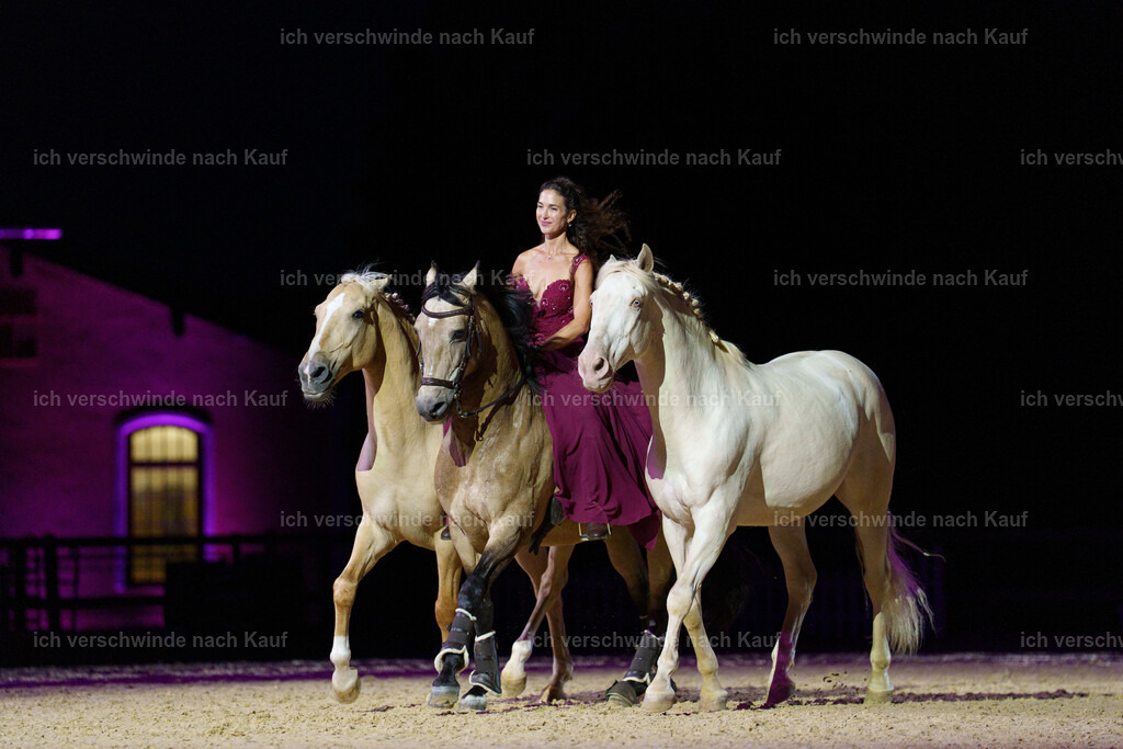 Gala-140 | working equitationturnier fotograf videograf stoibphotography marixx film working equitation deutschland reitsport turnierfotografie eventfotografie equestrian events