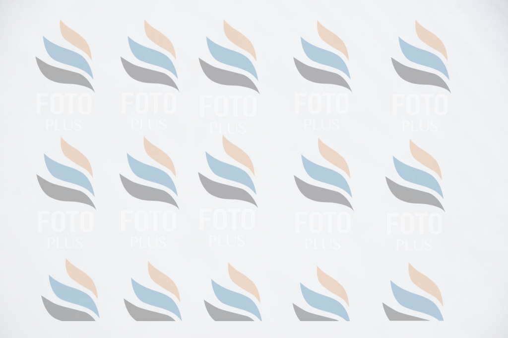 C1150 | holidayphoto