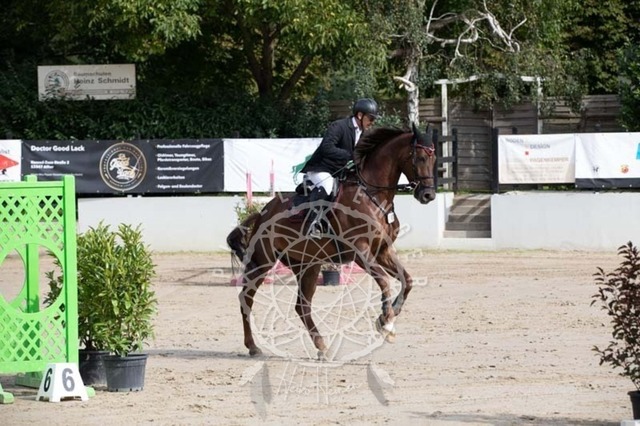 2B4A1309 | pixelfaenger - Realisiert mit Pictrs.com