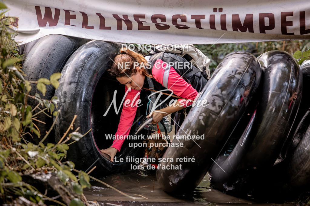 nelerasche_Hunsrück2026_Sa1400-1500_201 | nelerasche