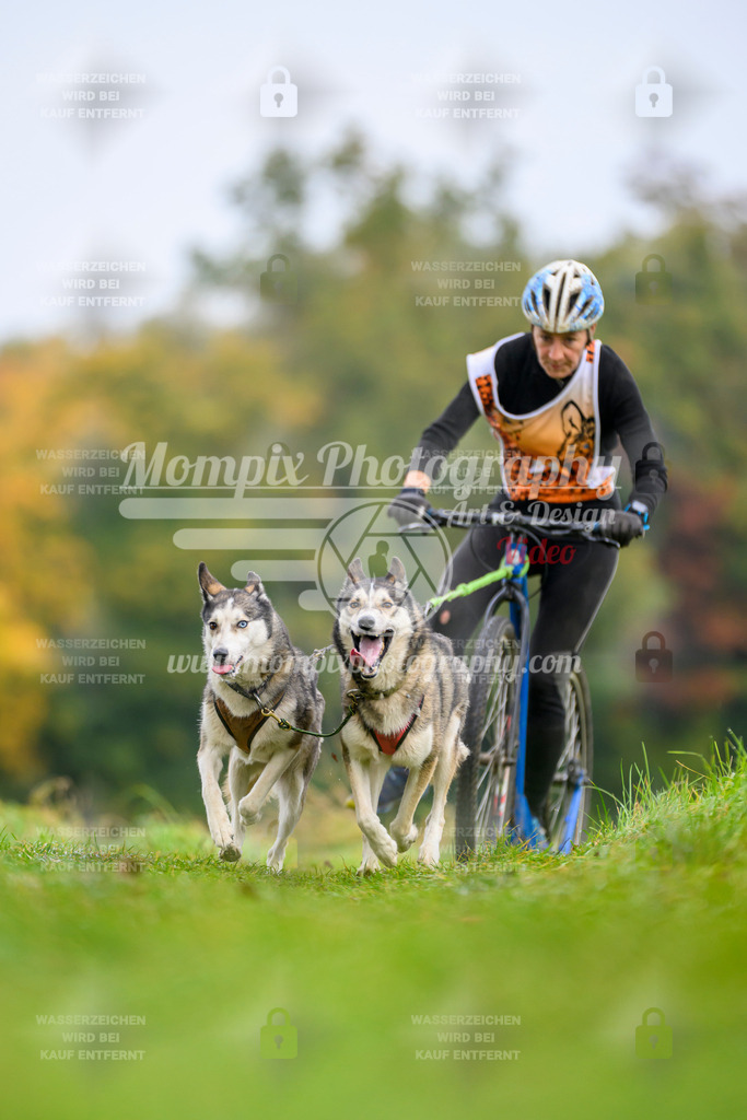 MompixPhotography_CDLBDB2025_DI_DS-17 | PayLife