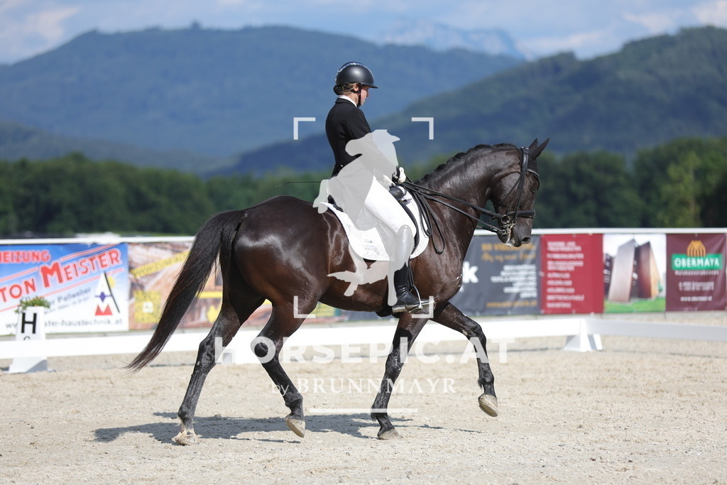 0P6A6738 | Willkommen bei Brunnmayr - Design & Fotografie – Ihrem Spezialisten für Reitturniere und Pferdeveranstaltungen in Oberösterreich, Salzburg und Bayern! Seit über 17 Jahren sind wir leidenschaftlich dabei.