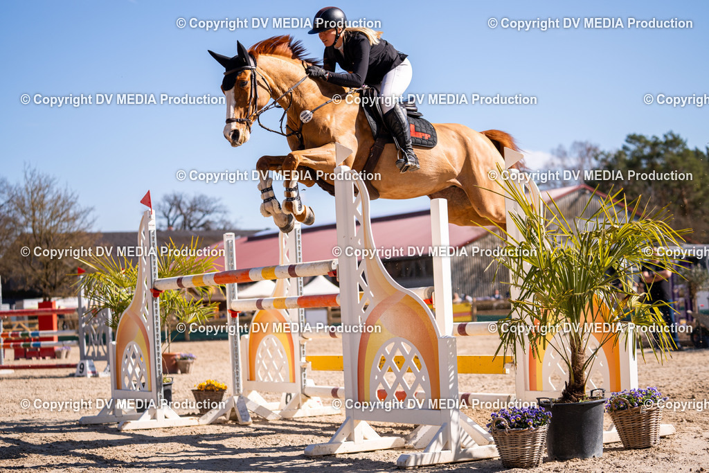 Kranichstein Tag 2-809 | dv-media-shop - Realisiert mit Pictrs.com