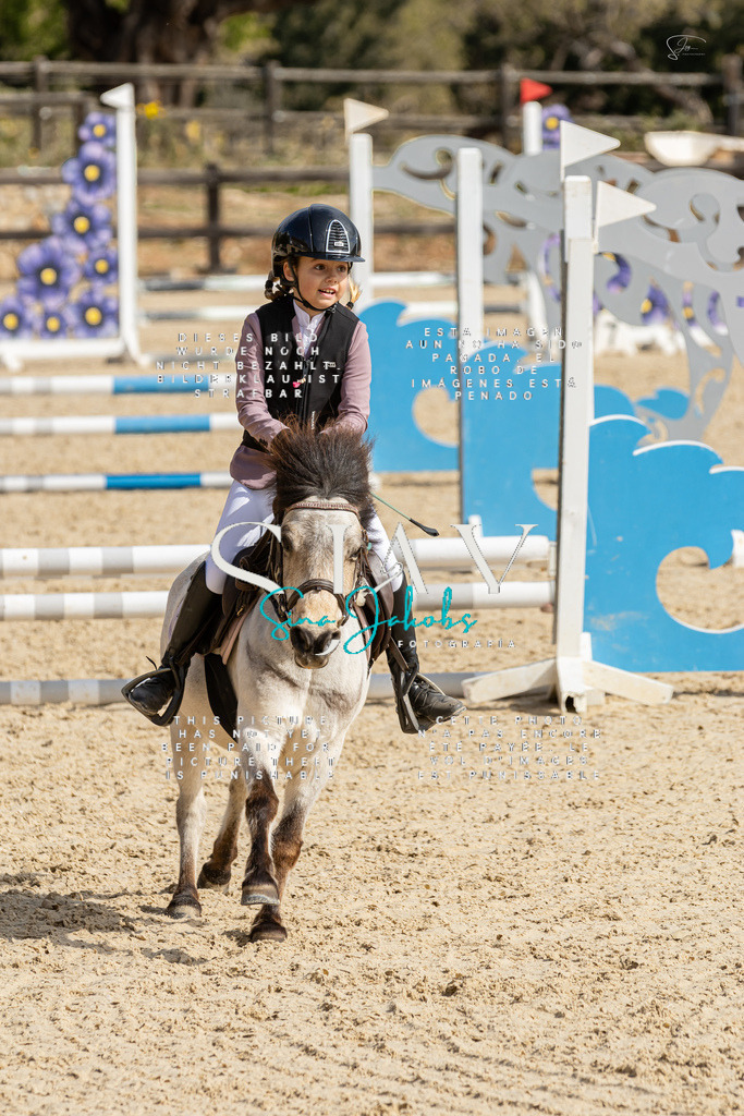 IMG_4443 | s-jay-photography - Realisiert mit Pictrs.com