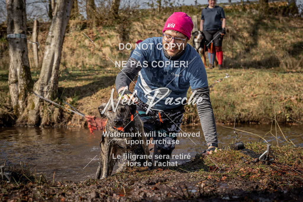 nelerasche_FS1330-1400_25 | nelerasche