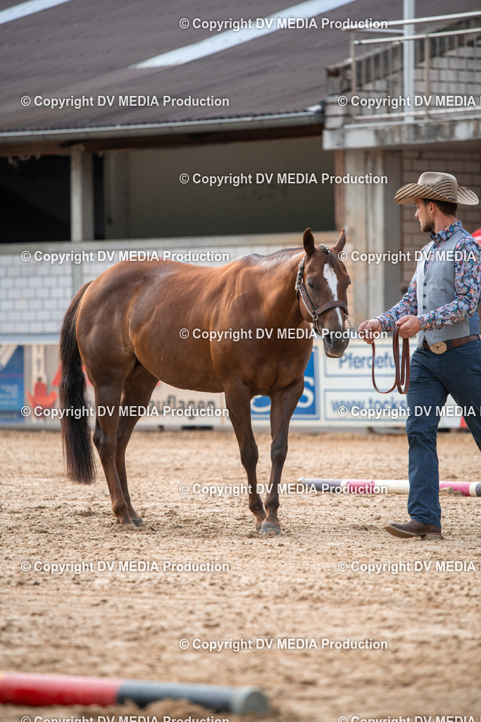 EWP_5527 | dv-media-shop - Realisiert mit Pictrs.com