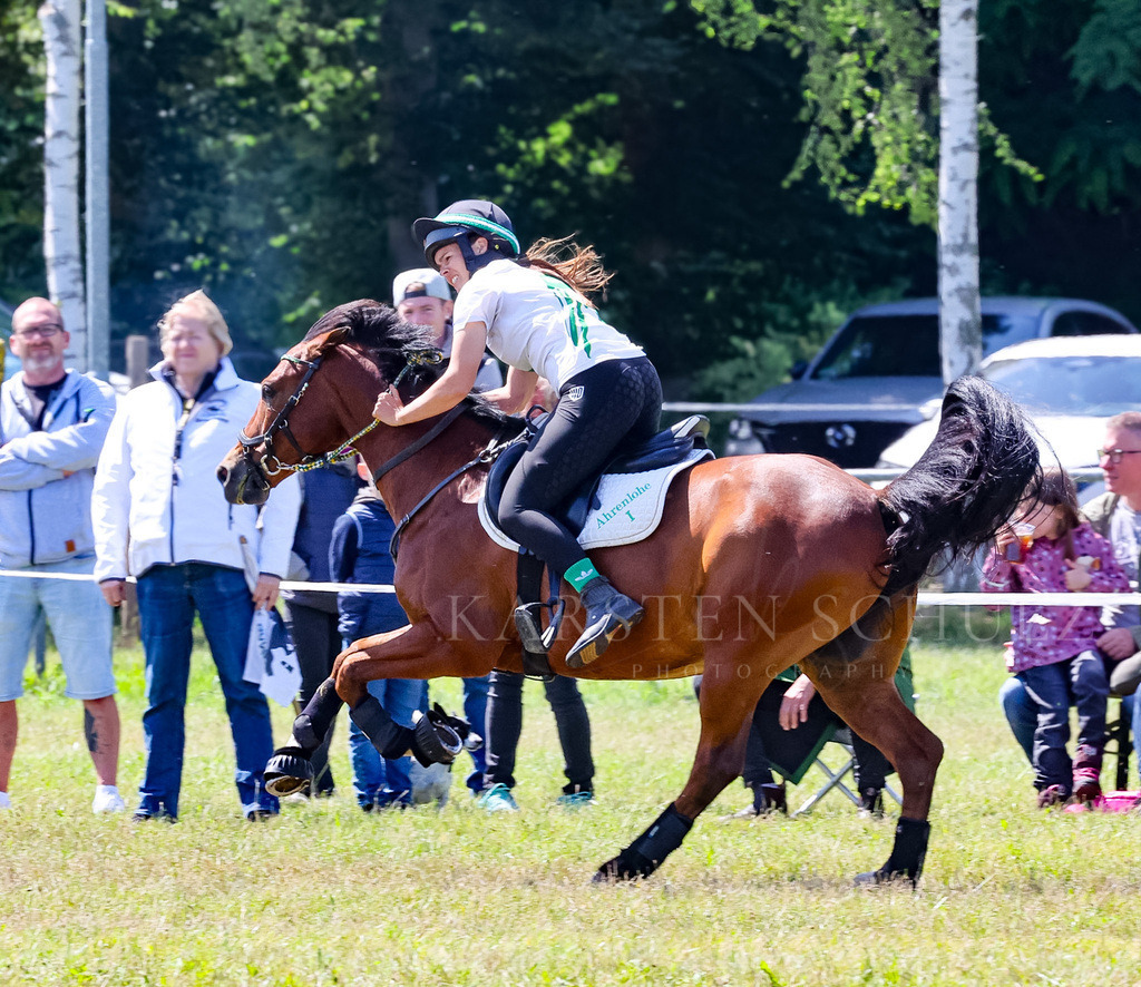 IMG_1629 | Reitsport Reiten