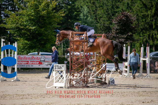IMG_5462 | Turniersportfotografie; Pferdefotografie; Dressurfotografie