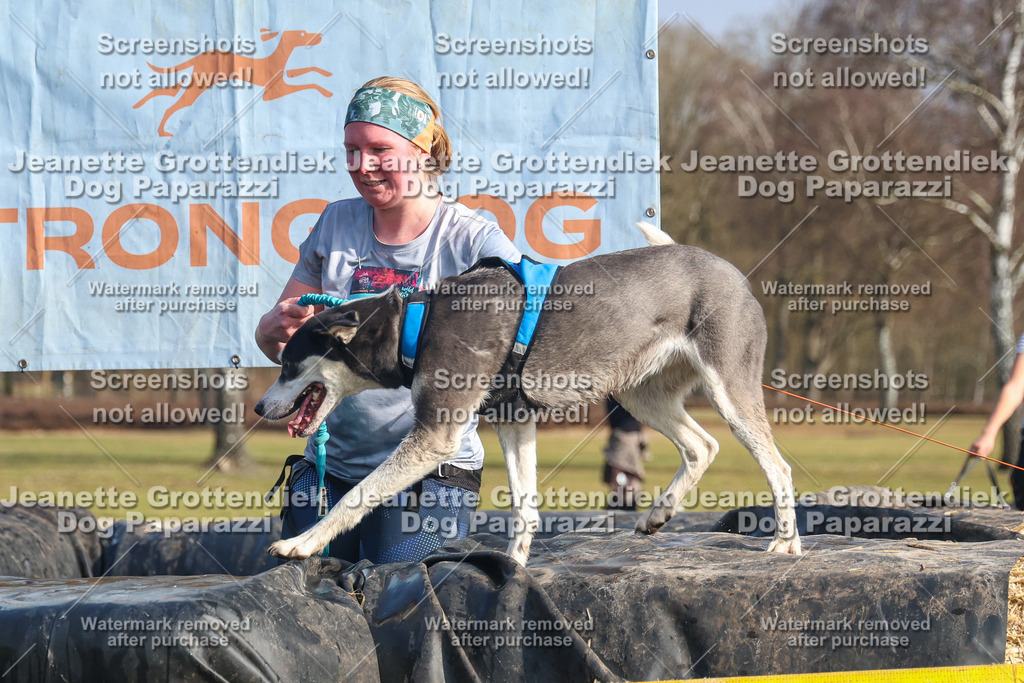 Dog Paparazzi - Strongdog North Mrz26-2760 | Dog Paparazzi Jeanette Grottendiek Fotografie & Videografie - Realisiert mit Pictrs.com