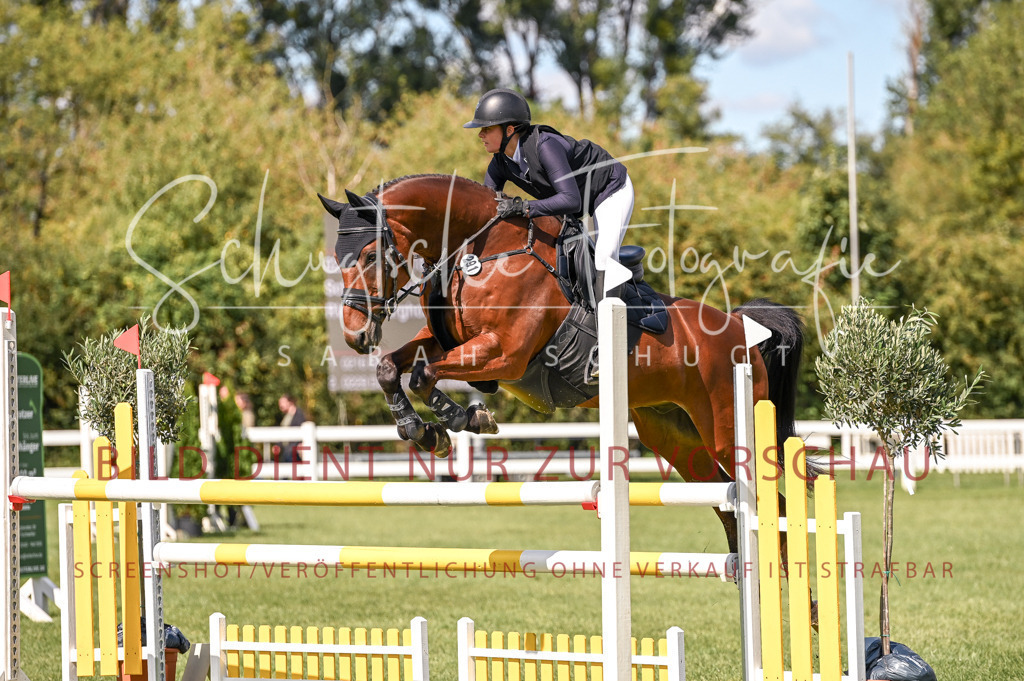 Schugtsche-Düren.2024-08.Amat.Springprf.L-93 | Schugtsche Fotografie - Realisiert mit Pictrs.com