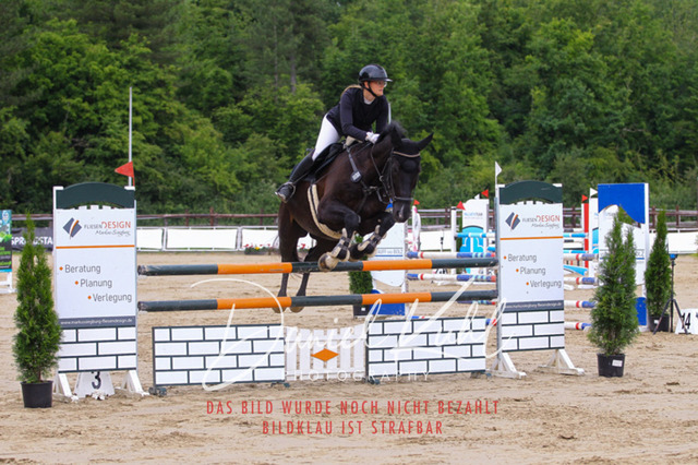 DKP42031 | Turniersportfotografie; Pferdefotografie; Dressurfotografie