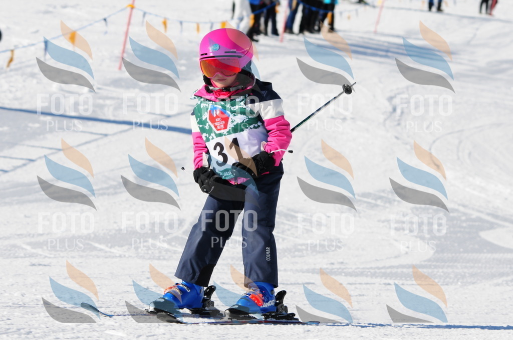 A7953 | holidayphoto