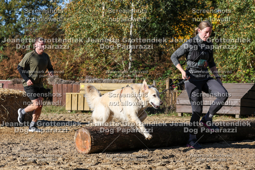 Dog Paparazzi - Strongdog 10-25-2059 | Dog Paparazzi Jeanette Grottendiek Fotografie & Videografie - Realisiert mit Pictrs.com