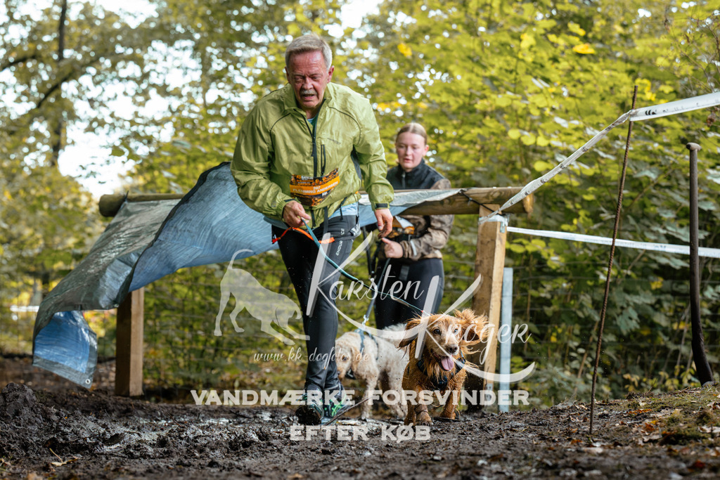 1419DZ6_1580Z6 | kk-dogfotos