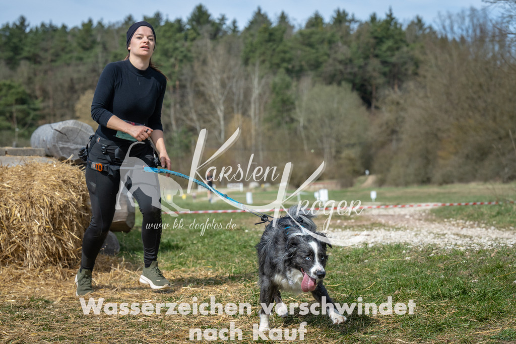 1156_ZZ98780 | kk-dogfotos