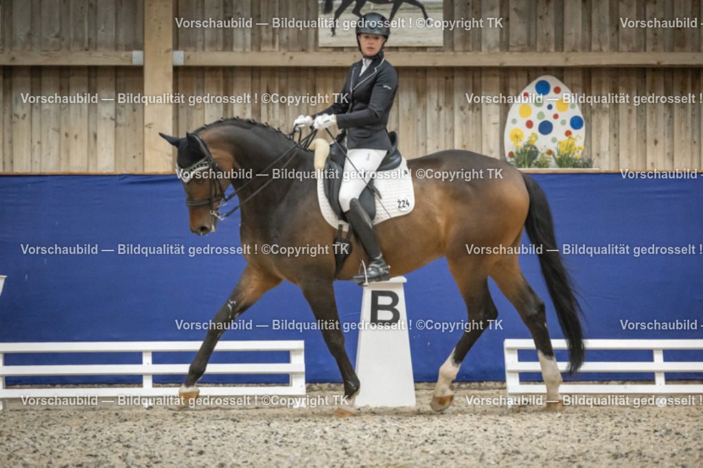 _D5A7547 | Emotionale Pferde- & People-Fotografie rund um Heidelberg, Leimen & Umgebung. Natürliche Fotos von Pferd, Mensch & Familie. Jetzt Termin sichern!