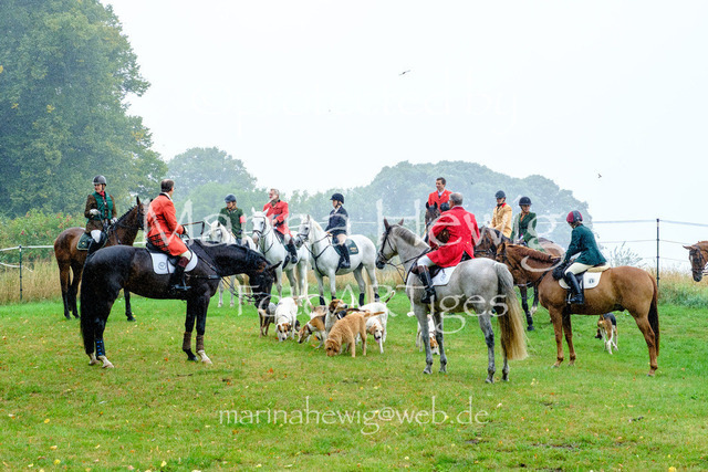 Jagd Kletkamp 26-9510_MarinaHewig | Fotografie, FotoArt, PferdesportArt, Pferdesportfotografie, Landschaftsfotografie, Reisefotografie, Reise, Pferde - Realisiert mit Pictrs.com