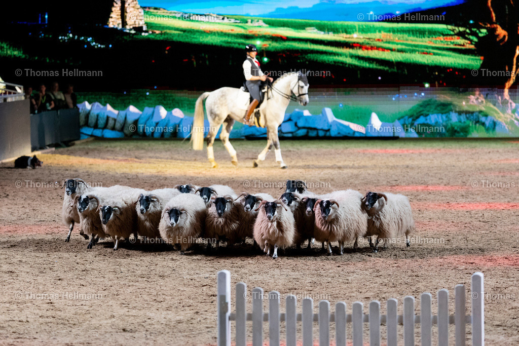 TH_Anne Krüger_ Hop Top Show_27439 | Hop Top Show, Anne Krüger-Degener