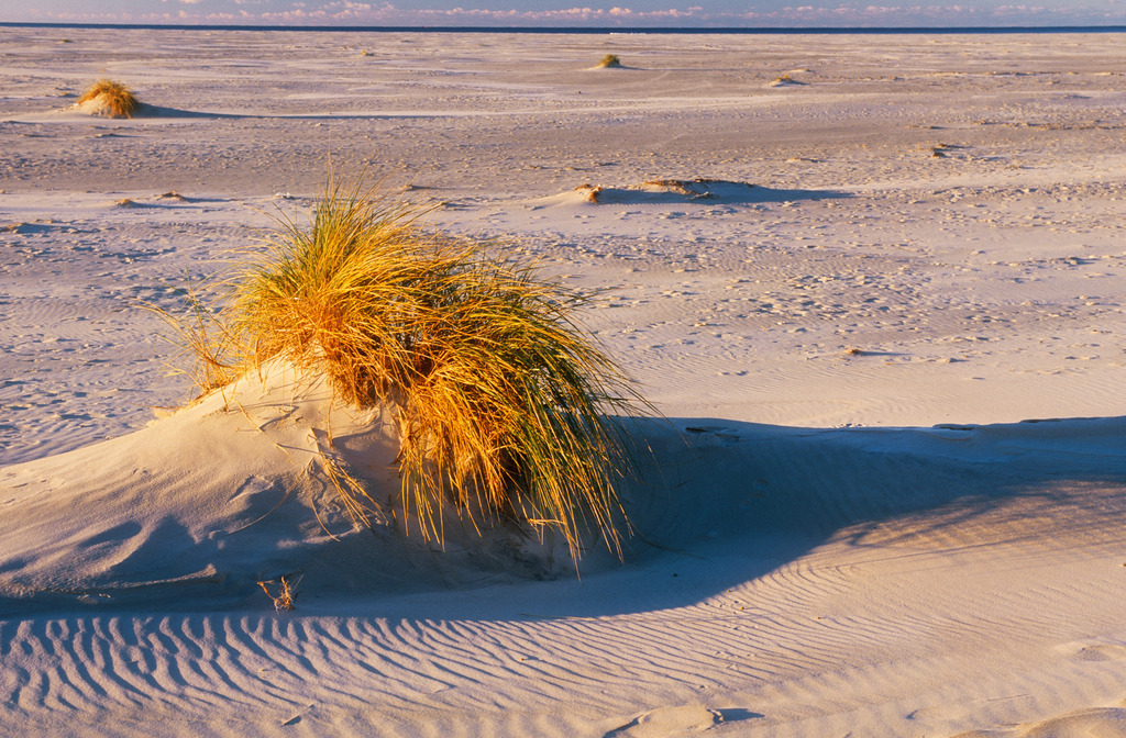 Dünen im Morgenlicht | Wittduen, Deutschland - October 21, 2010: Dünen im Morgenlicht. - Realisiert mit Pictrs.com